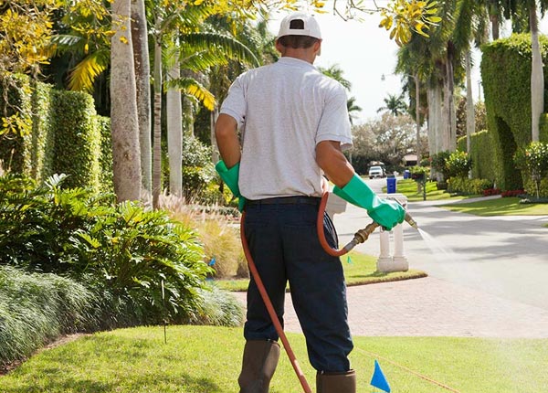 About Pollock ID Pest Control